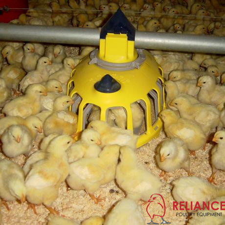 KiXoo® feeder pan - Image 3