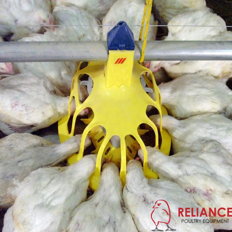 HaiKoo® feeder pan - Image 3